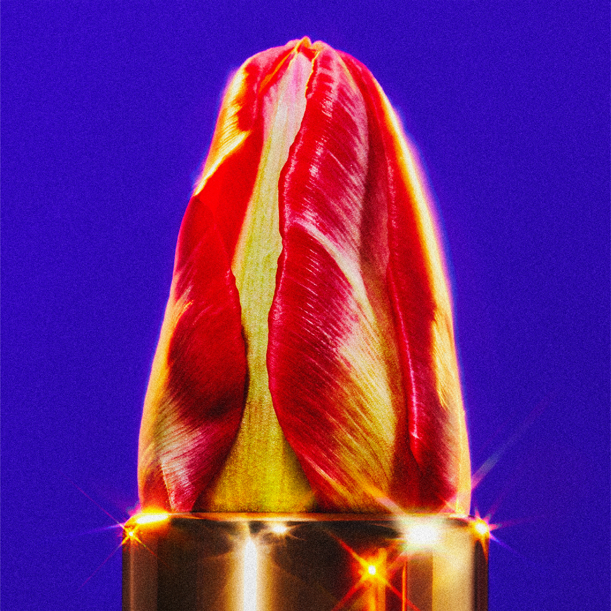 Vaundy Official Website